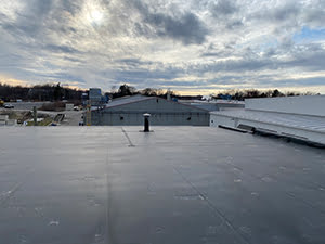 Rubberized Roofing Systems1