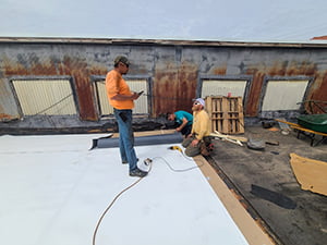 TPO Roofing System