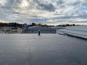 Rubberized Roofing Systems