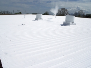 Metal Roof Restoration